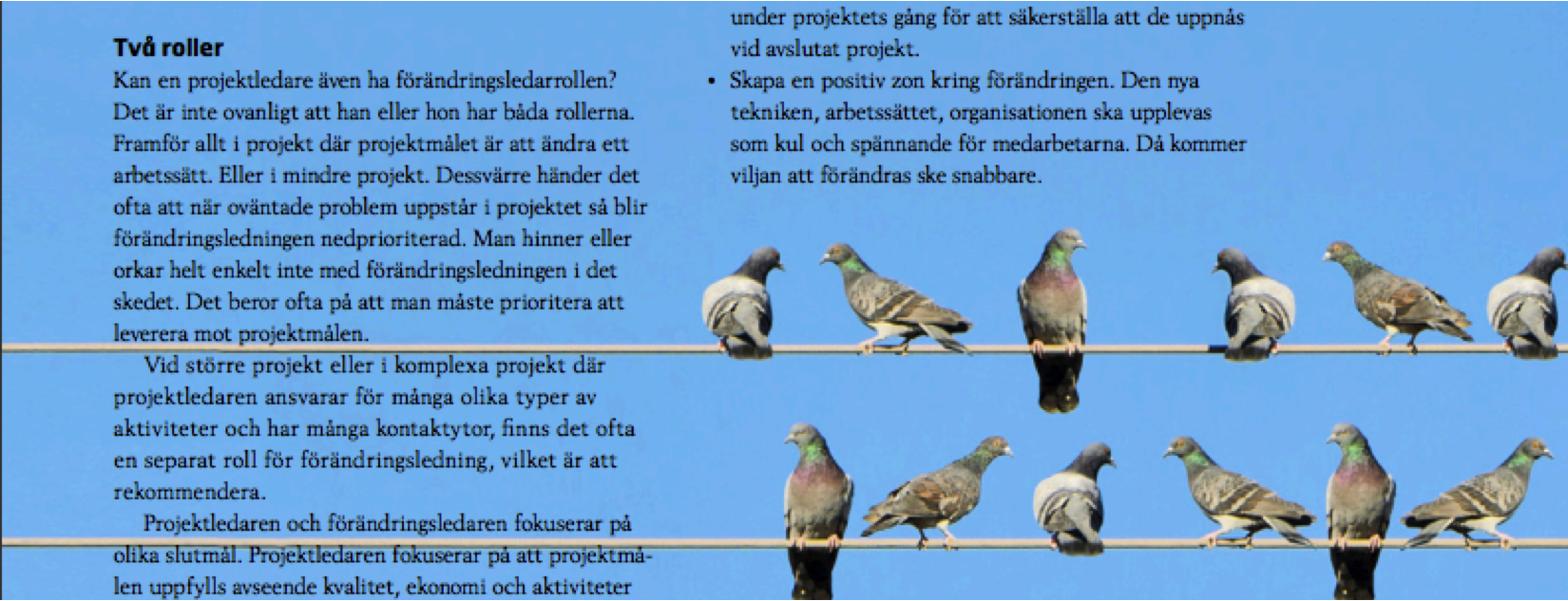 Artikel skriven av Malin Nyman